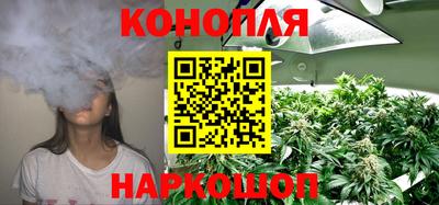 гидропоника Заводоуковск