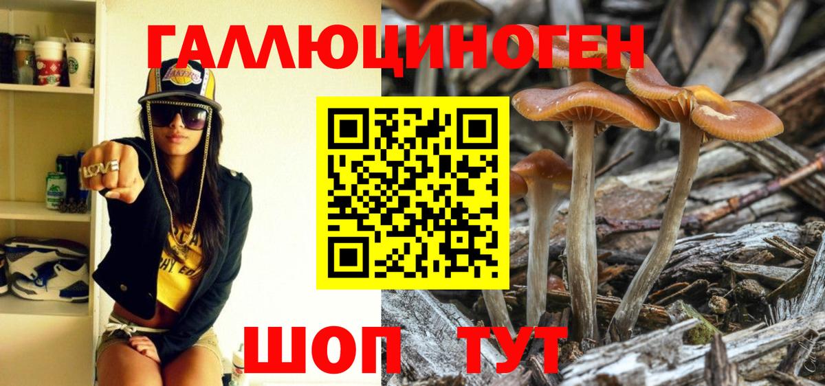 Галлюциногенные грибы мухоморы Минеральные Воды