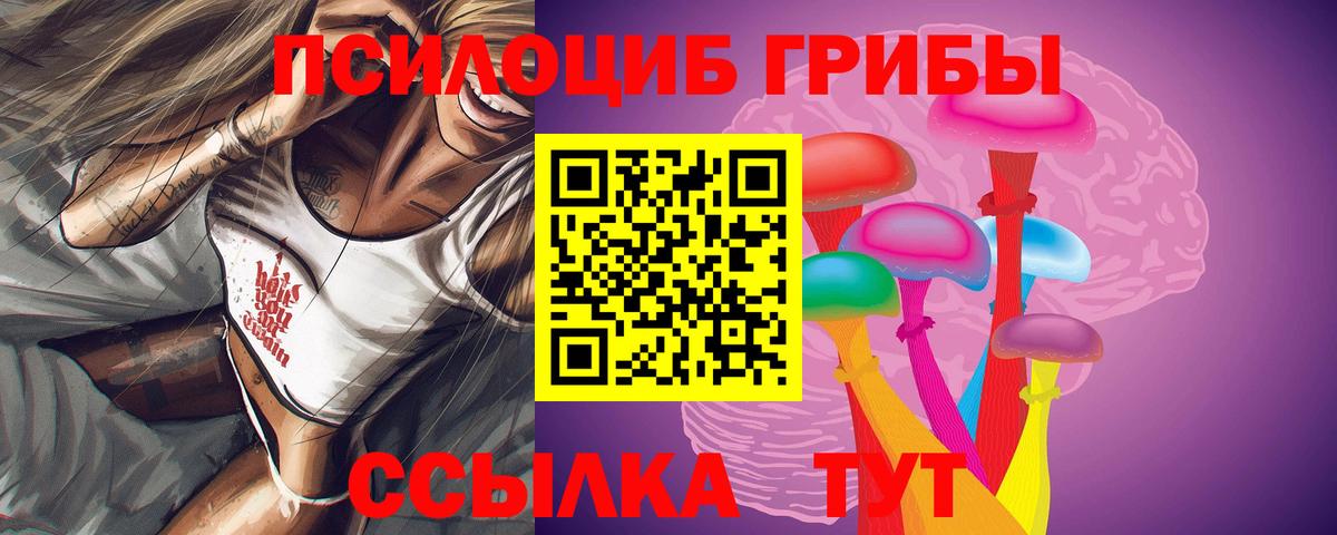 Галлюциногенные грибы Cubensis  Галлюциногенные грибы ЛСД  Вход с VPN  Минеральные Воды 
